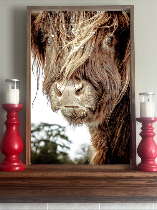 I've got Attitude Highland Cow Farmhouse Sign