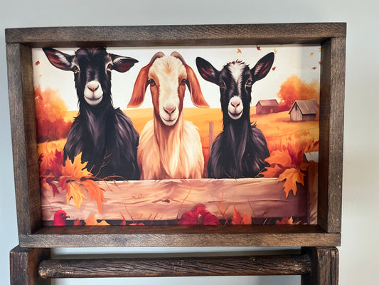 Fall Goats