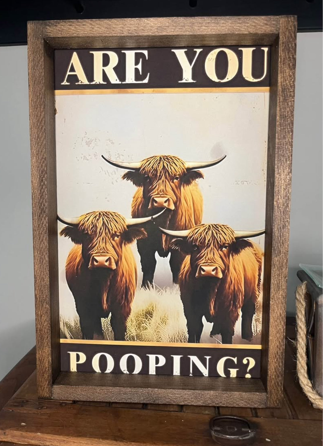 Are You Pooping Highland Cow Farmhouse Sign