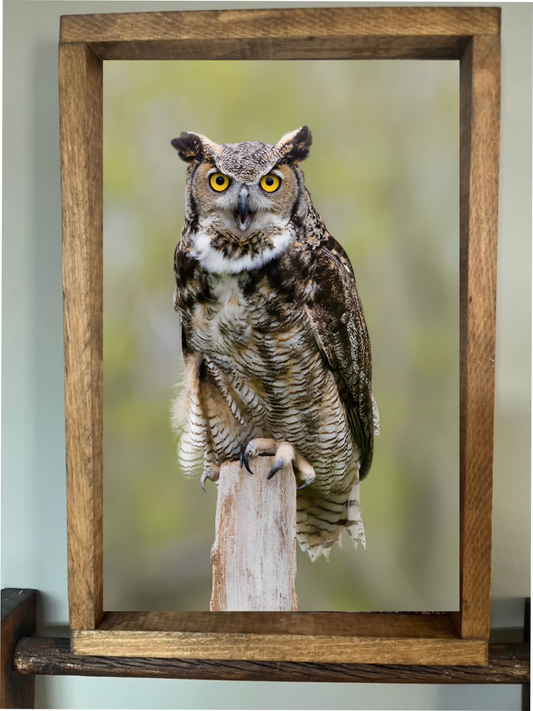 On My Perch Owl Farmhouse Sign