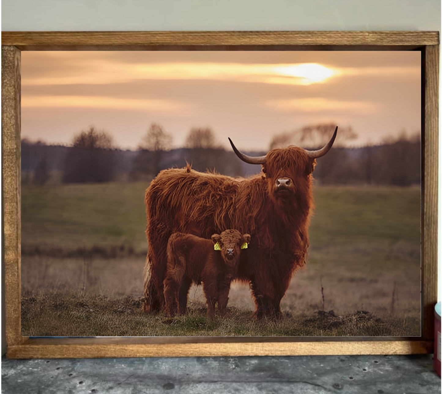 Protective Mom Highland Cow Farmhouse Sign