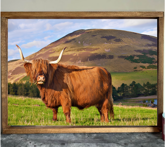 Snack Time Highland Cow Farmhouse Sign