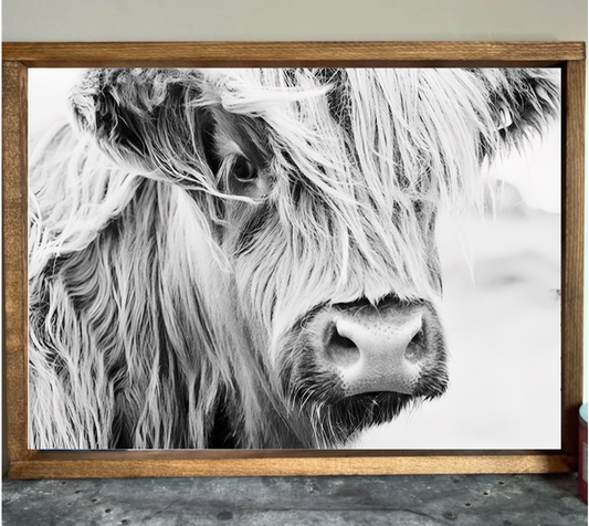 Up Close Highland Cow Farmhouse Sign