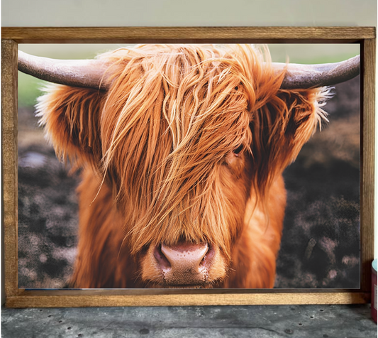 Watching You Highland Cow Farmhouse Sign
